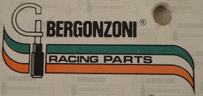 Bergonzoni